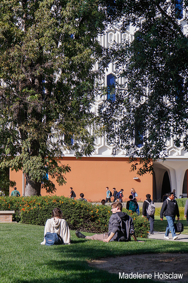 students in the quad in front of the library