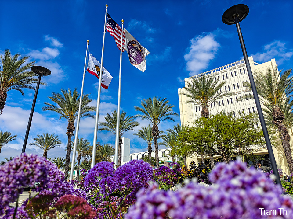 flags in front of campus