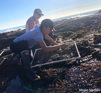 students at the beach/tide pools