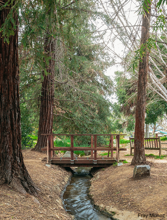 Arboretum bridge