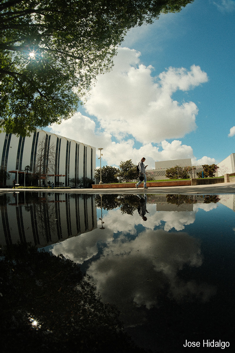 reflection of quad in water